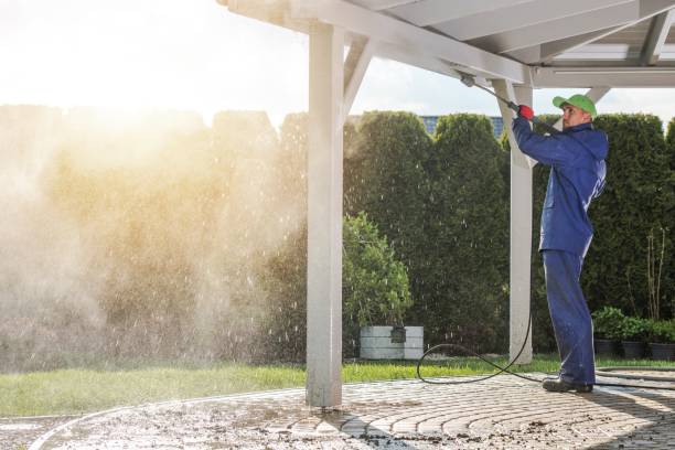 Best Warehouse Cleaning  in Williamsport, MD